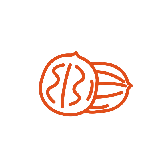Icon of two walnuts